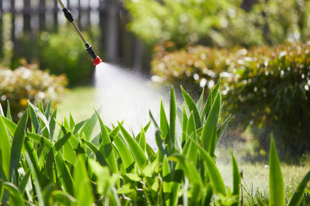 24/7 Emergency Ant Control experts in Hohenwald, TN